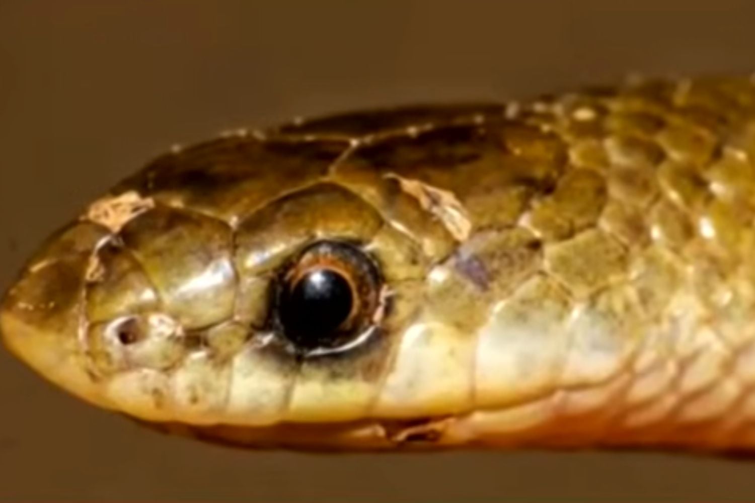 Diseño Sin Título 2026 02 07t144128.425