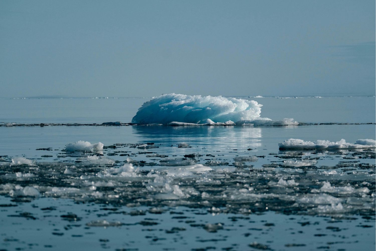 Diseño Sin Título 2026 02 07t184819.951