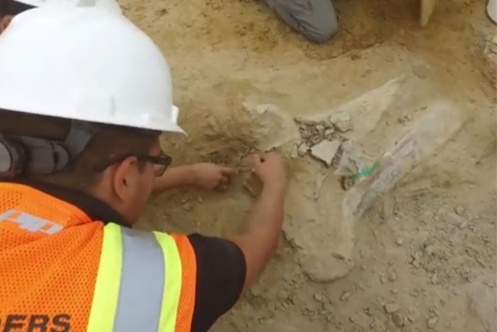 Diseño Sin Título 2026 02 08t084626.940