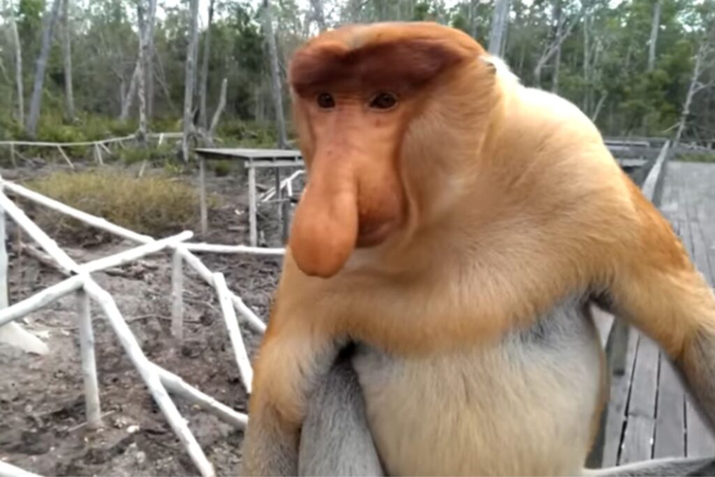 Diseño Sin Título 2026 02 08t085635.390