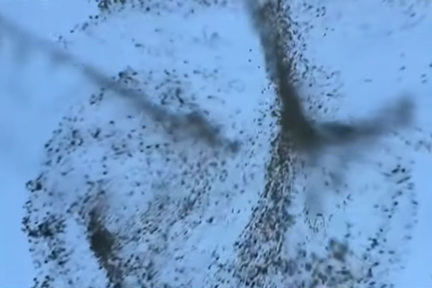 Diseño Sin Título 2026 02 08t093534.559