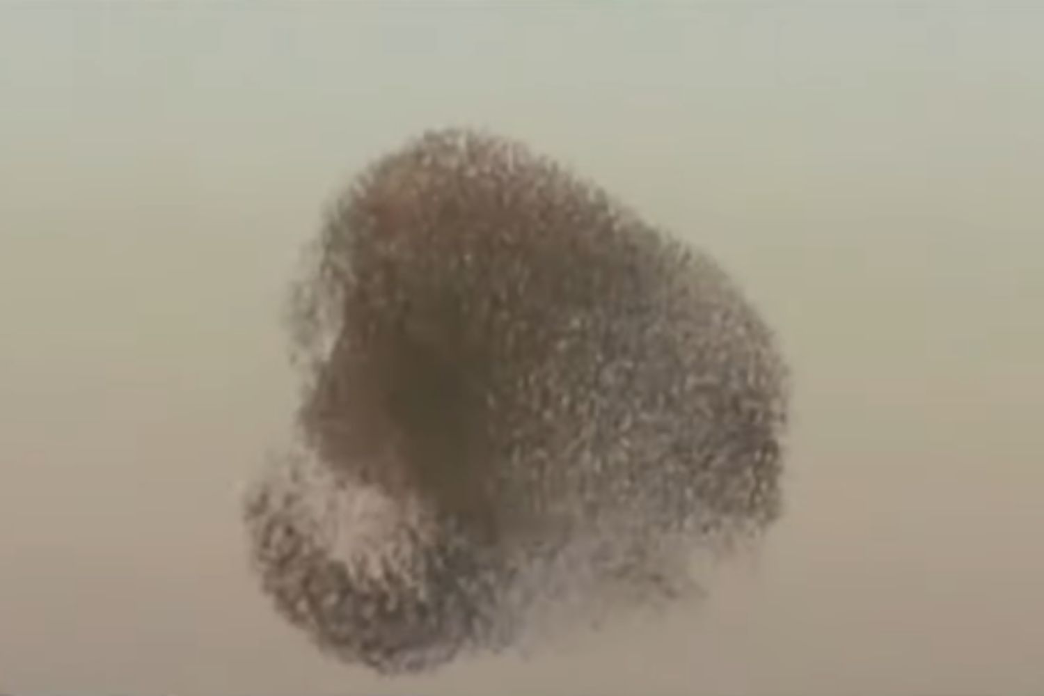 Diseño Sin Título 2026 02 08t093616.289