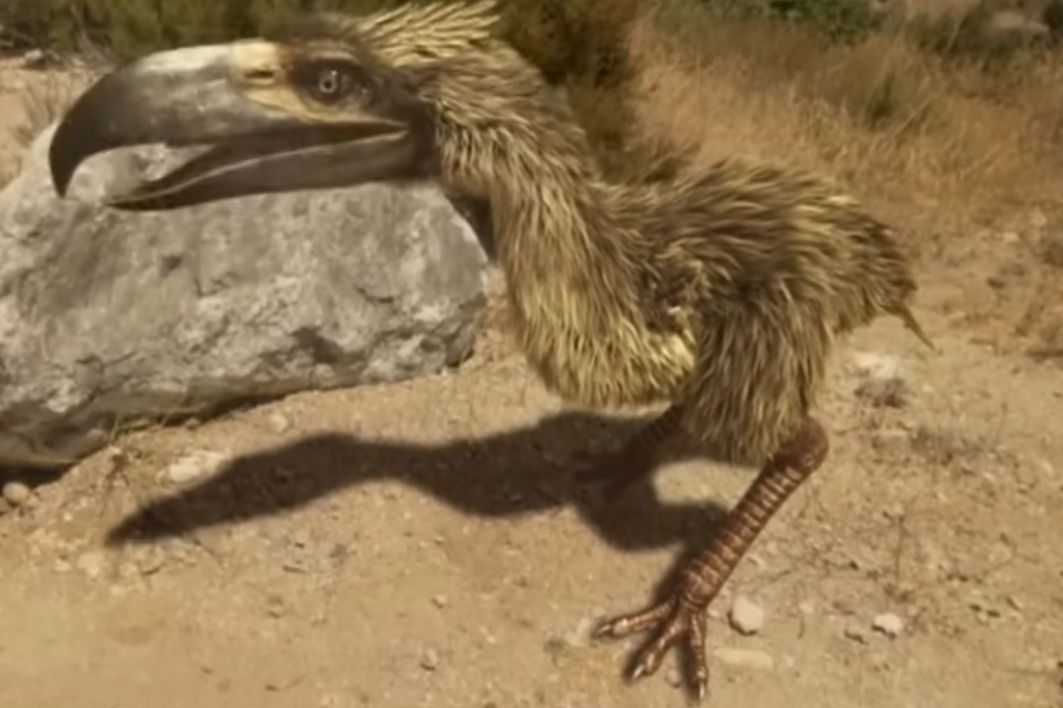 Diseño Sin Título 2026 02 08t103150.632