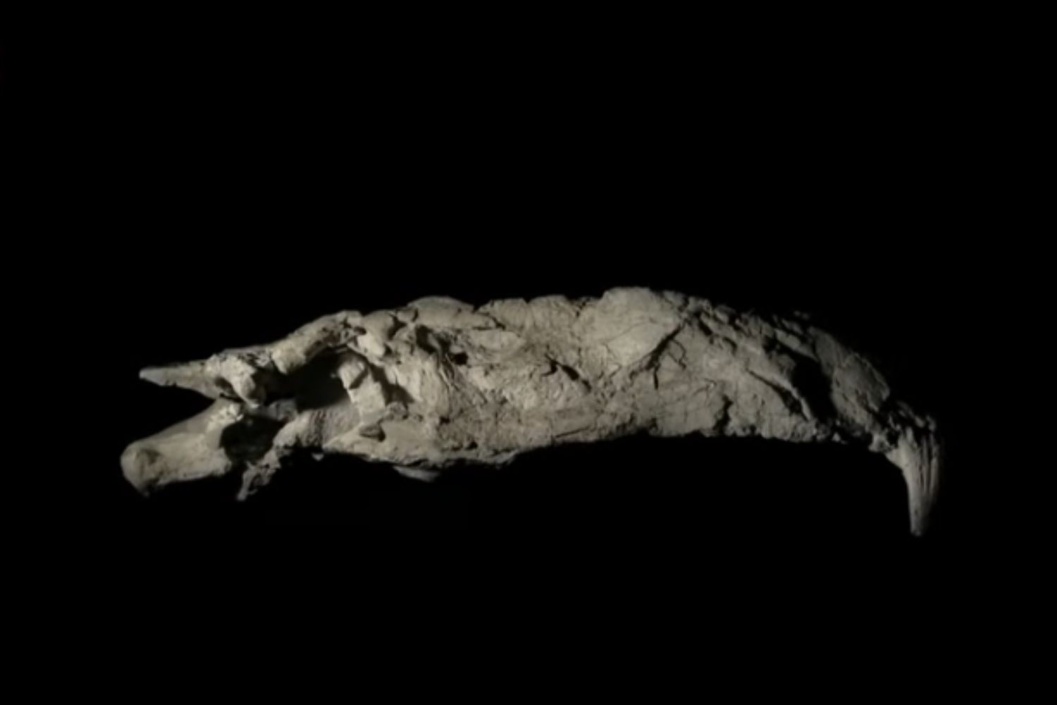 Diseño Sin Título 2026 02 08t103211.568