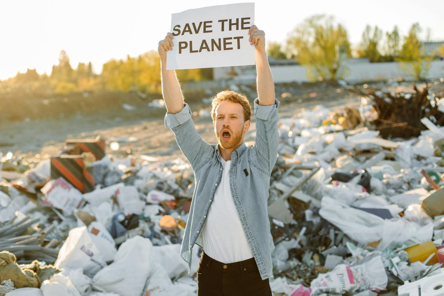 Diseño Sin Título 2026 02 08t114742.558