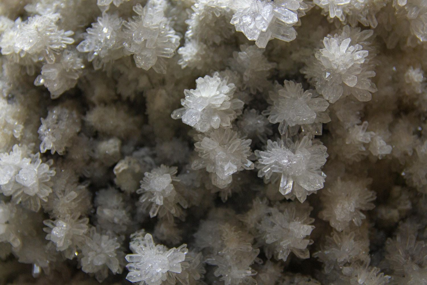 Diseño Sin Título 2026 02 11t122532.223