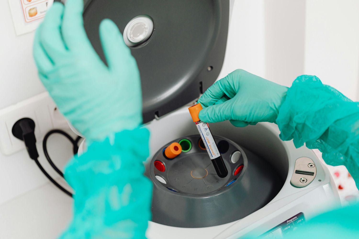 Diseño Sin Título 2026 02 11t191653.182