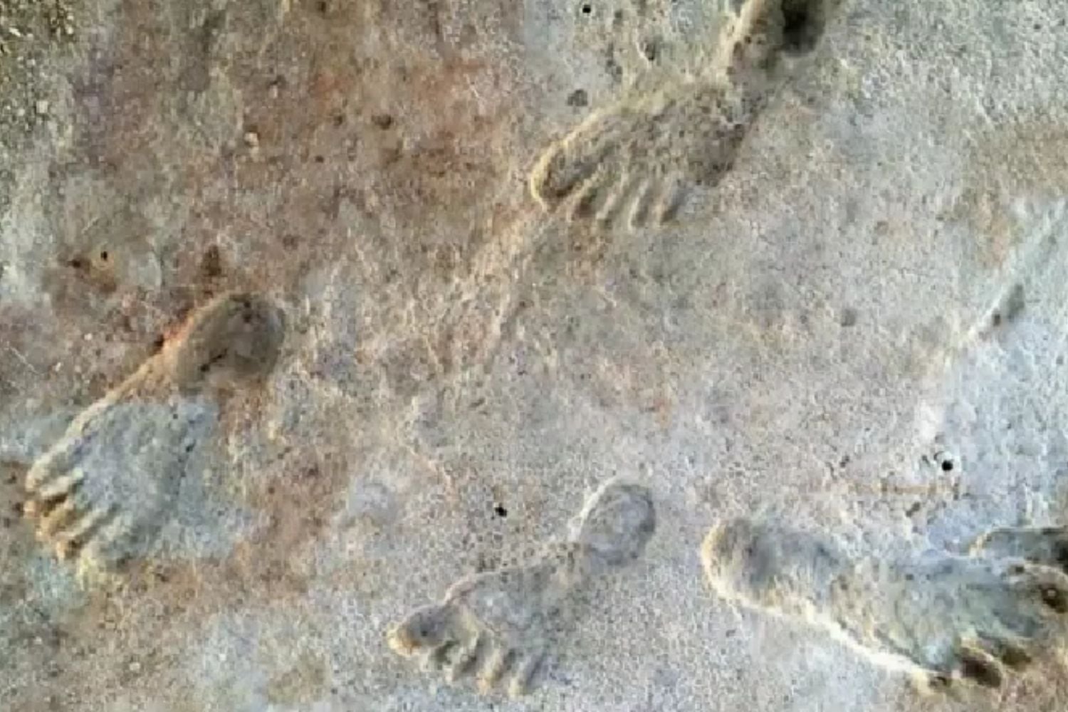 Diseño Sin Título 2026 02 11t193725.171