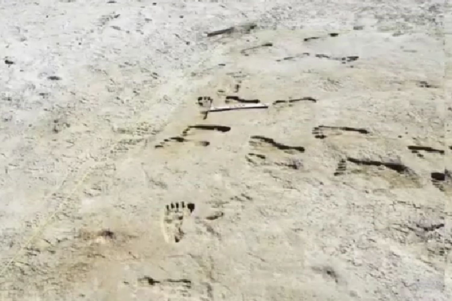 Diseño Sin Título 2026 02 11t193832.321