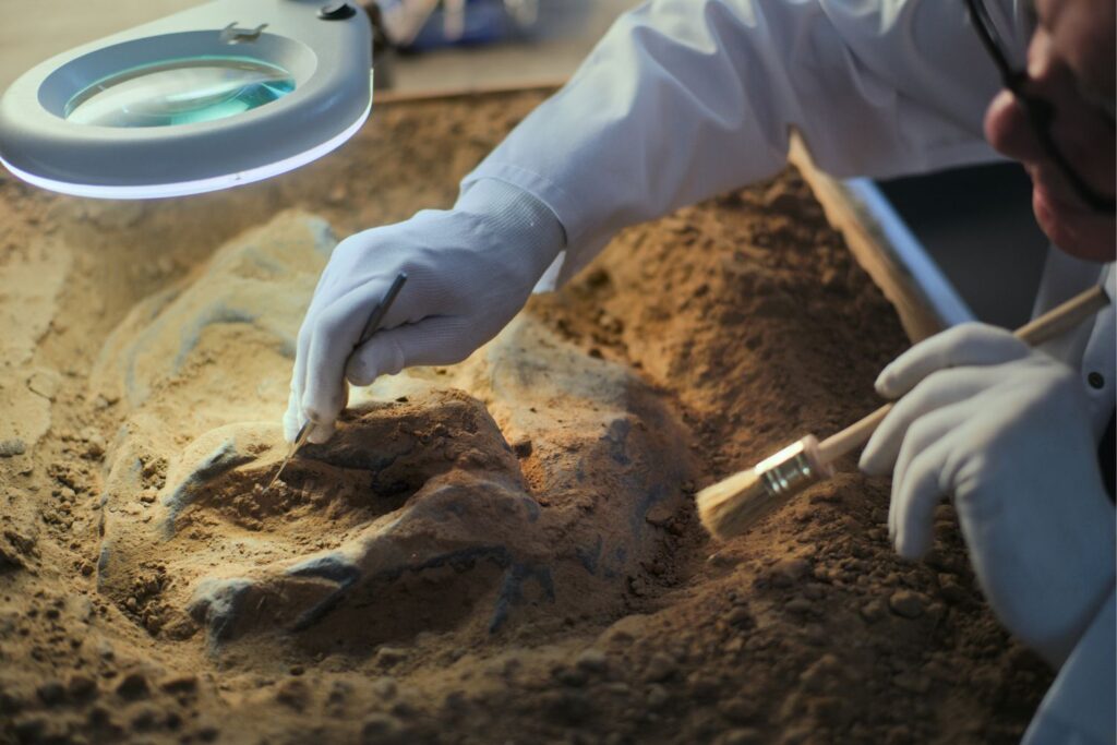 Diseño Sin Título 2026 02 12t101043.729