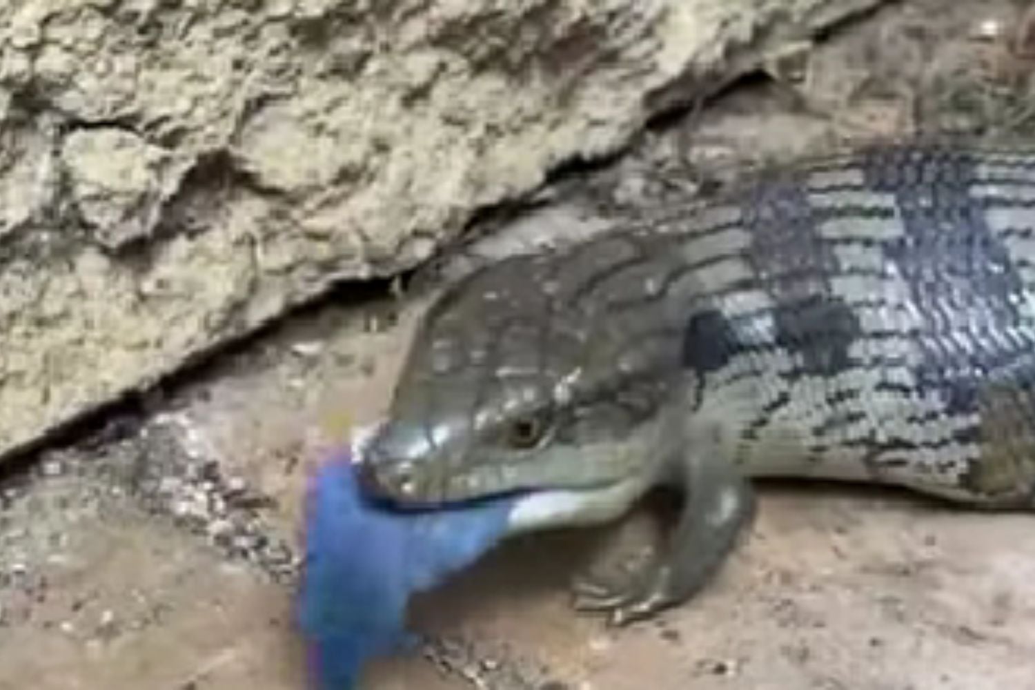 Diseño Sin Título 2026 02 12t101640.986