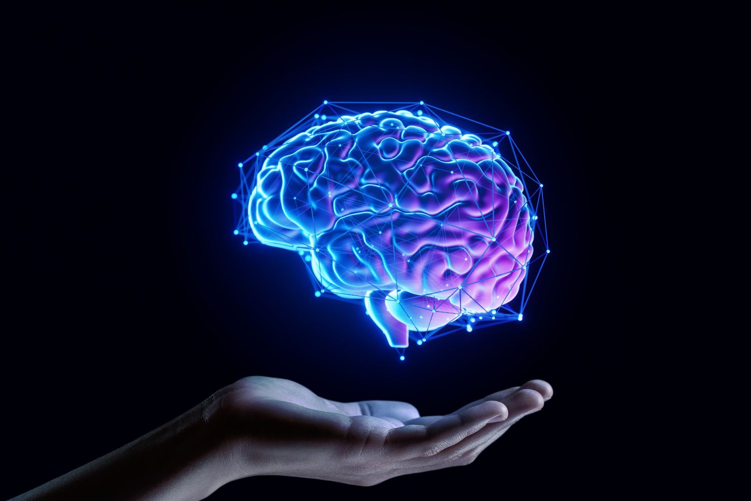 Diseño Sin Título 2026 02 12t103305.597