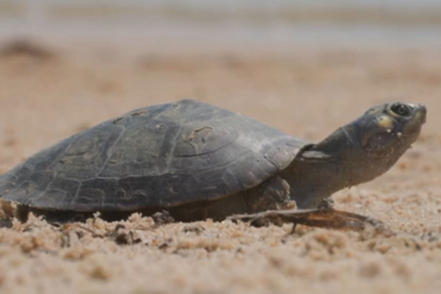 Diseño Sin Título 2026 02 24t104238.849