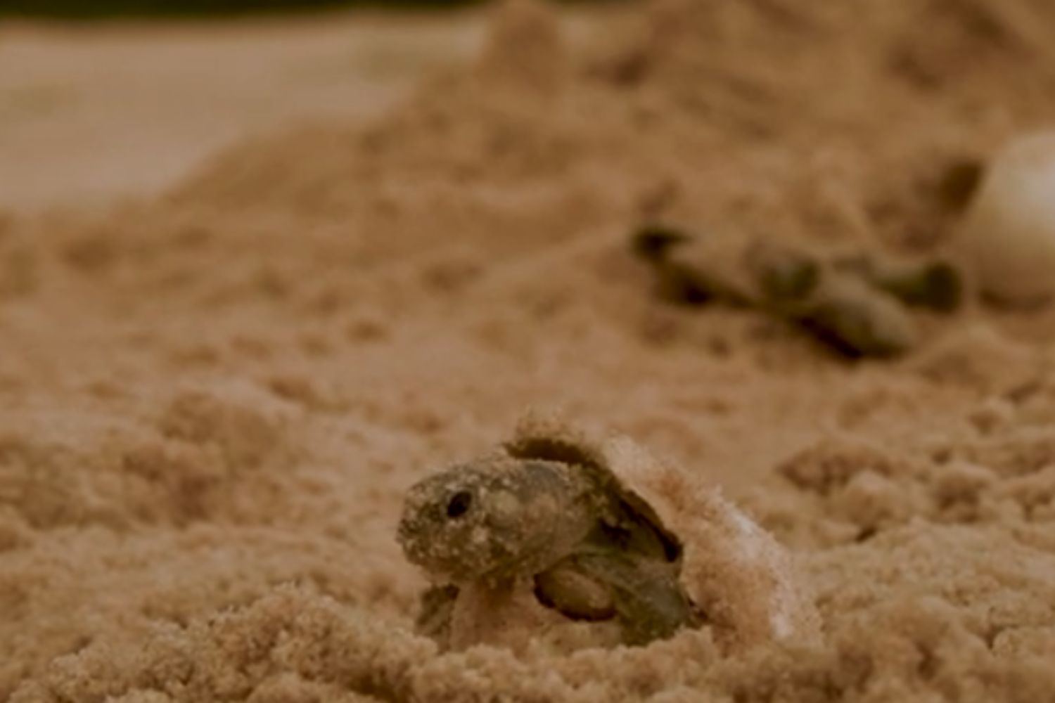 Diseño Sin Título 2026 02 24t104258.953