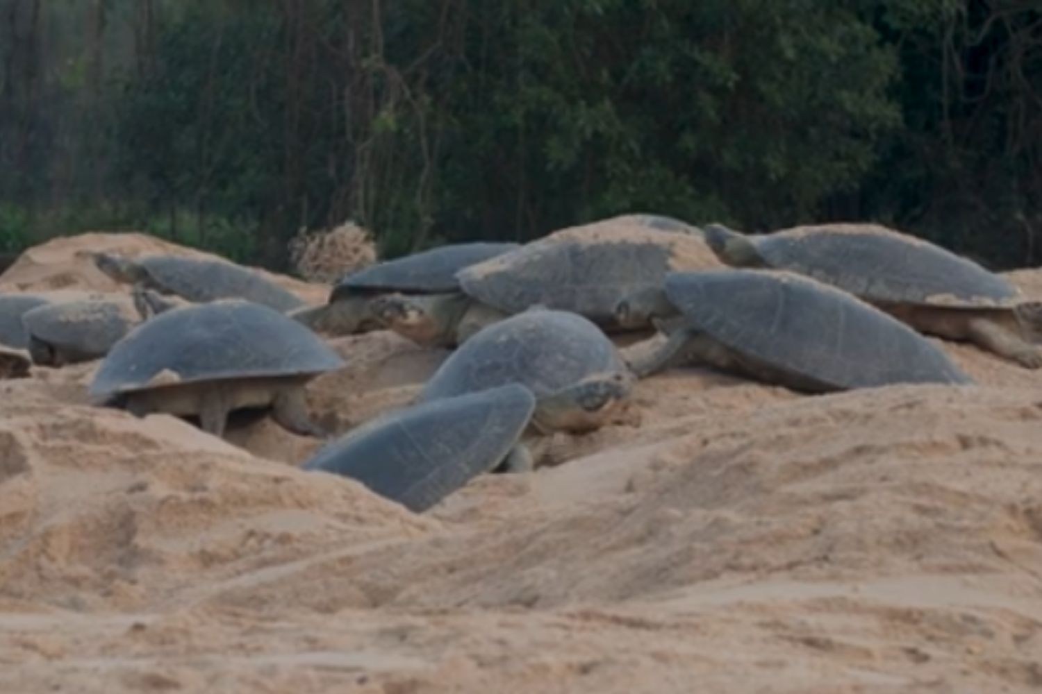 Diseño Sin Título 2026 02 24t104332.662