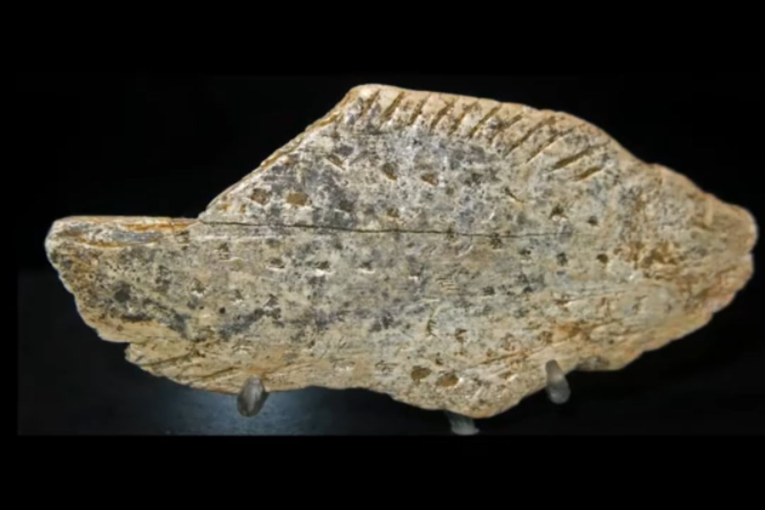 Diseño Sin Título 2026 02 24t124559.180