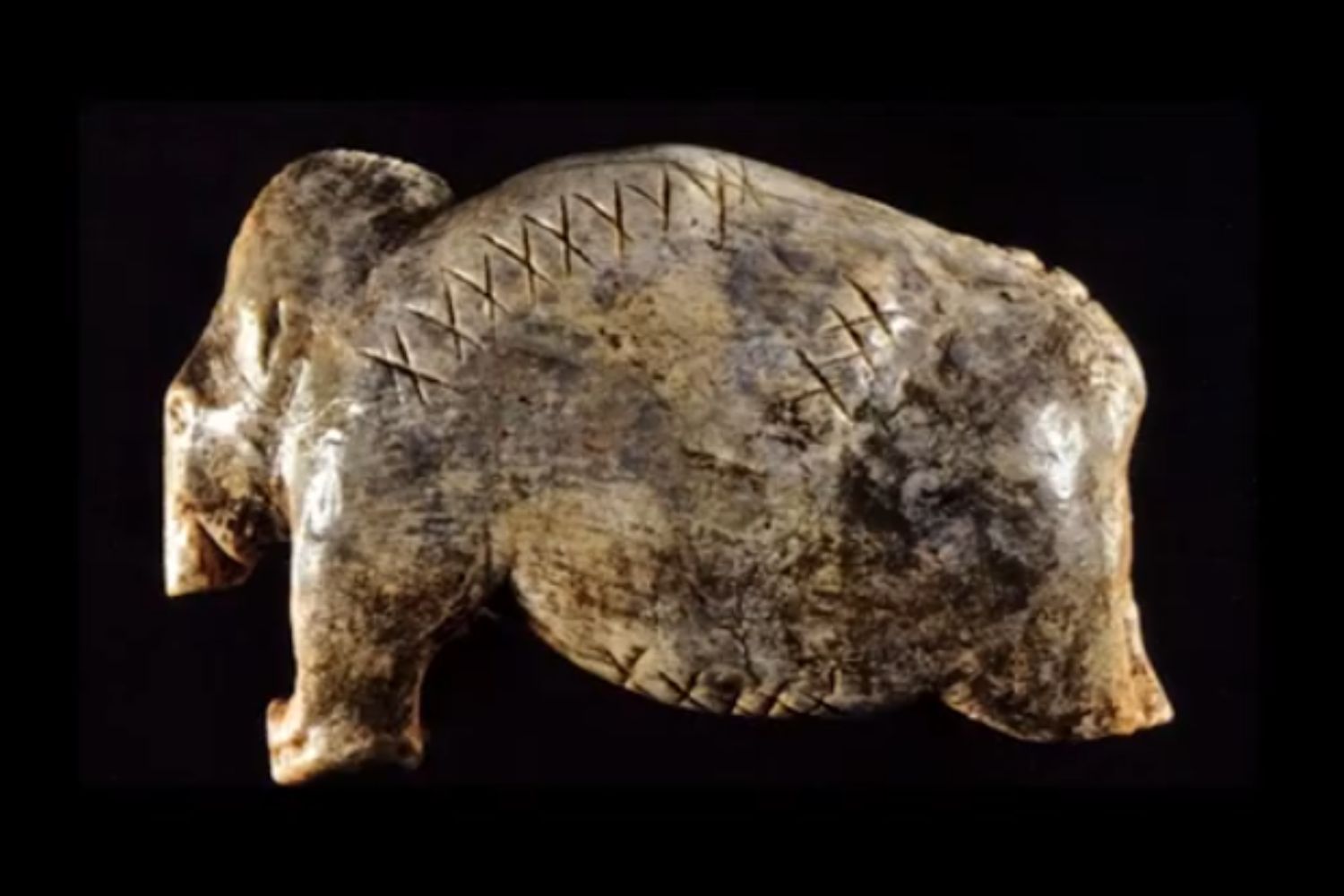 Diseño Sin Título 2026 02 24t124620.567