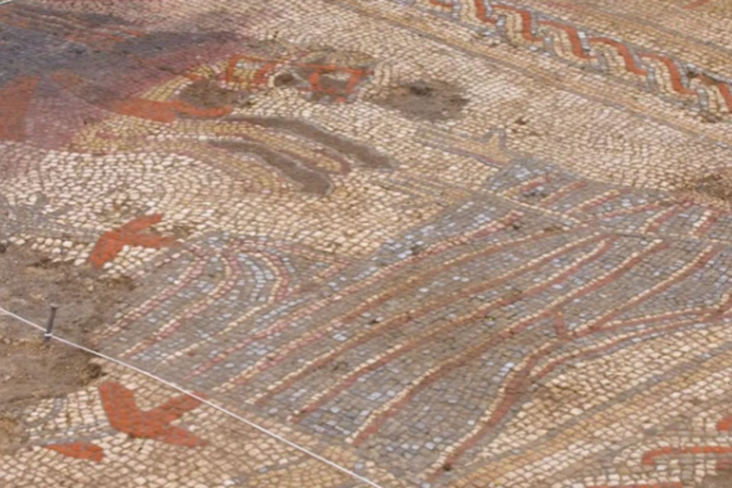 Diseño Sin Título 2026 02 27t154306.640