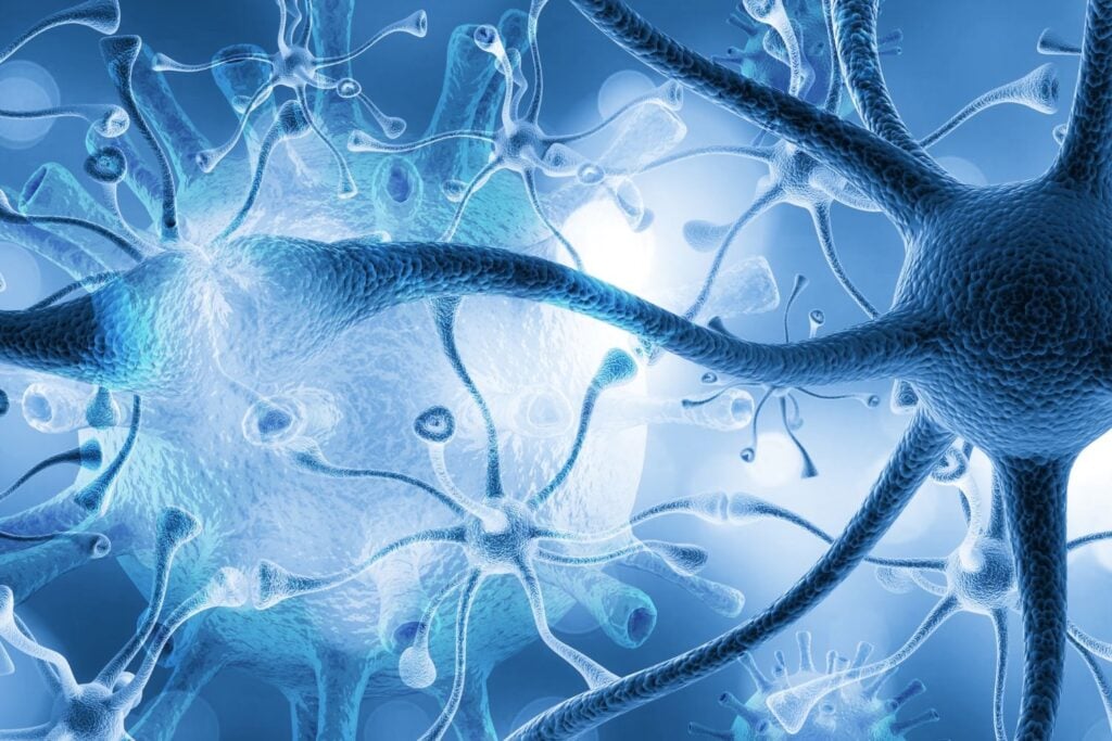 Diseño Sin Título (21)