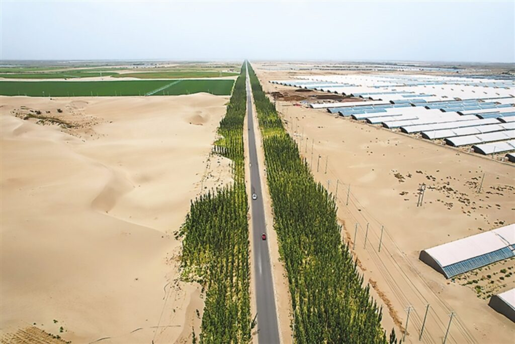 China está usando organismos más antiguos que los dinosaurios para fijar la arena del desierto. Cómo las cianobacterias están empezando a crear suelo donde solo había polvo