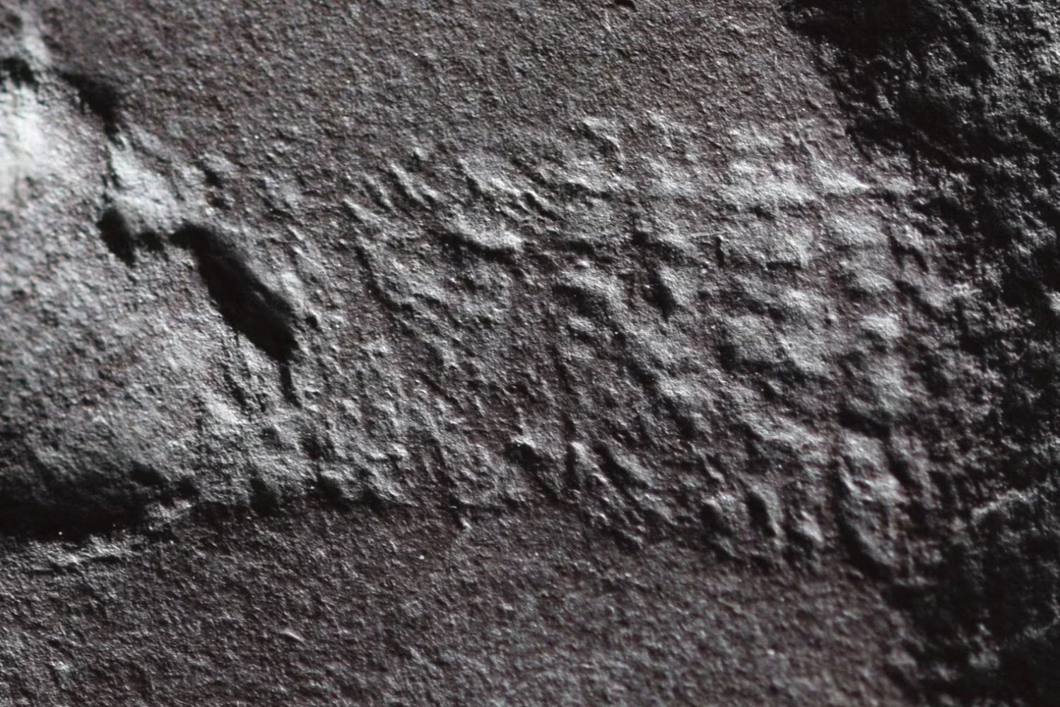 Un fósil de 300 millones de años ha conservado lo que casi nunca se conserva. Y ese detalle incómodo está reescribiendo la historia de los reptiles