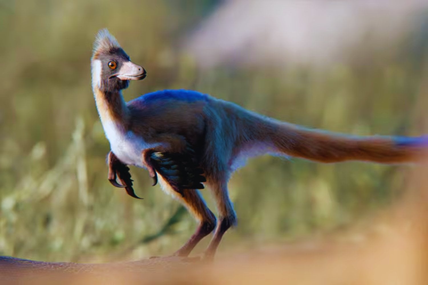 Un fósil diminuto encontrado en la Patagonia obliga a repensar cómo evolucionaron los dinosaurios carnívoros más extraños del planeta. No eran “miniaturas” por su dieta, sino desde el origen