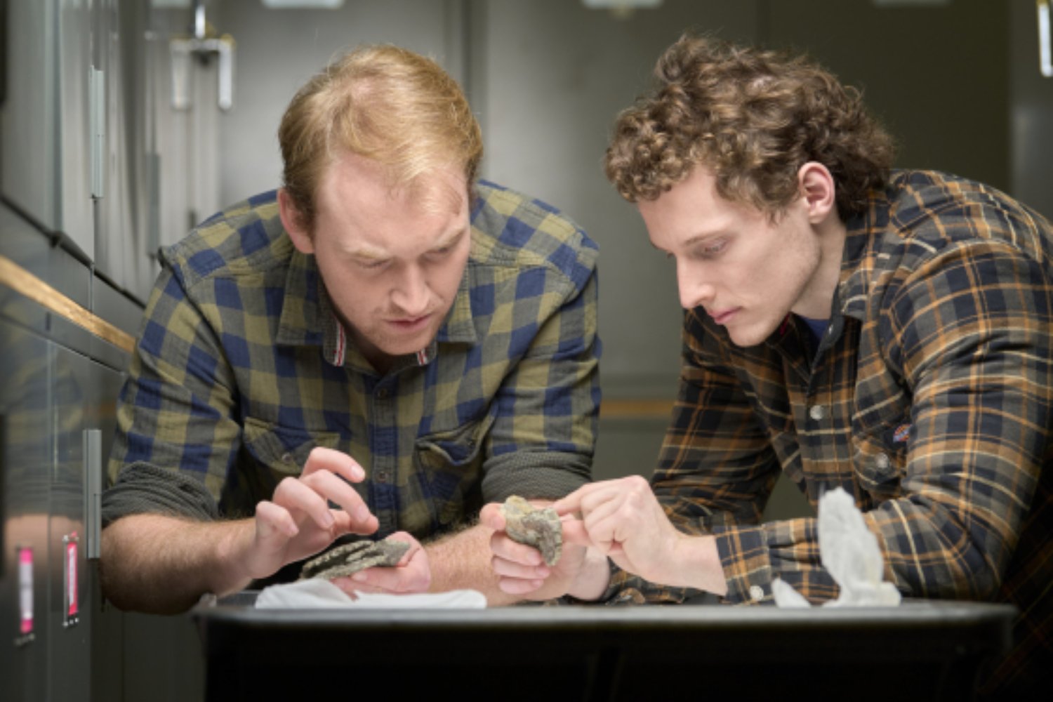 Una gran tortuga cruzó continentes cuando el planeta ardía. Un fósil adelanta las migraciones animales al momento más cálido del Cretácico