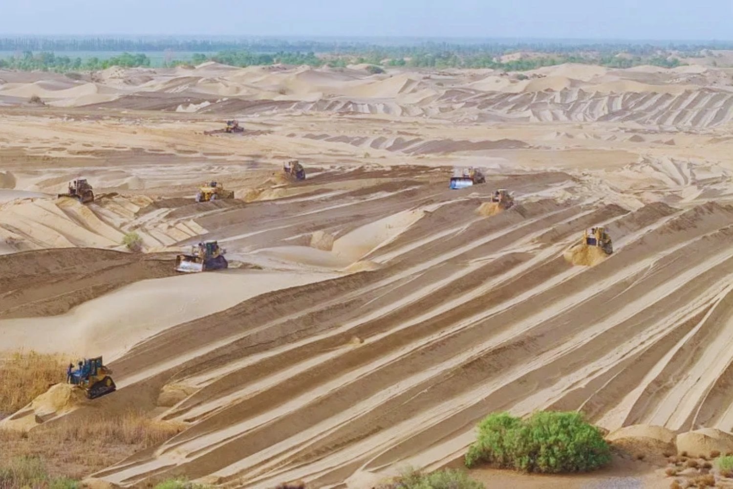 China está usando organismos más antiguos que los dinosaurios para fijar la arena del desierto. Cómo las cianobacterias están empezando a crear suelo donde solo había polvo