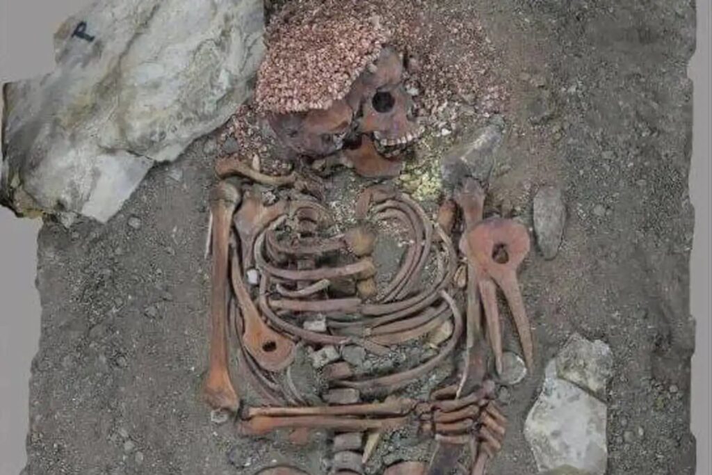 Un adolescente del Paleolítico murió tras un ataque de oso y la ciencia acaba de reconstruir su agonía. El caso forense que convierte una tumba prehistórica en una escena del crimen