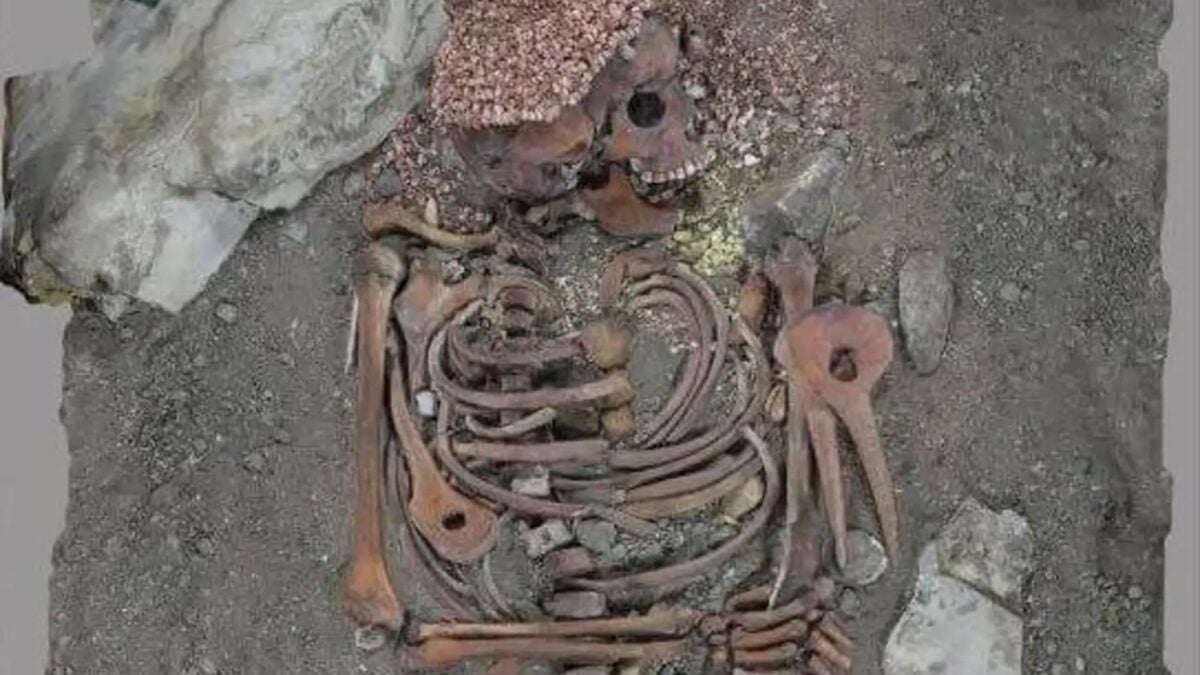 Una tumba italiana de hace 27.000 años escondía algo más que adornos, armas y pigmentos rituales. Las heridas de “Il Principe” revelan que el joven pudo morir tras un ataque de oso al que sobrevivió durante varios días