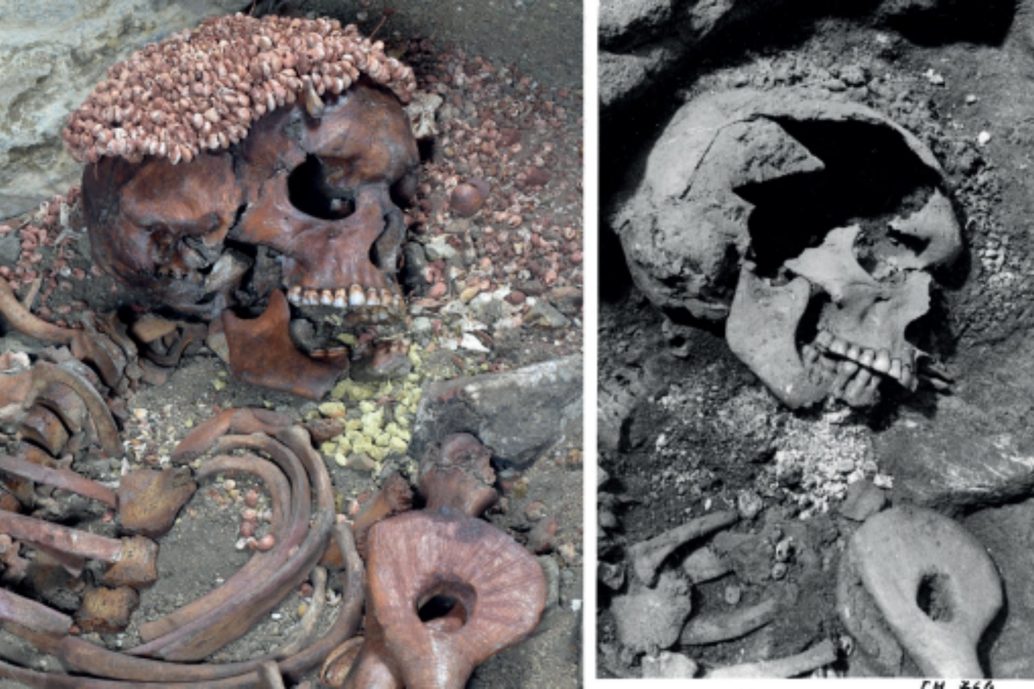 Un adolescente del Paleolítico murió tras un ataque de oso y la ciencia acaba de reconstruir su agonía. El caso forense que convierte una tumba prehistórica en una escena del crimen