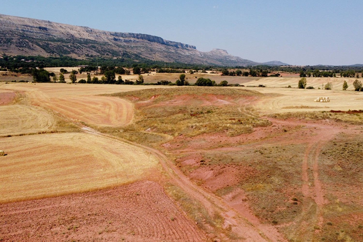 Era pequeño, corría entre bosques tropicales y nadie lo conocía. Así es el nuevo dinosaurio de 125 millones de años descrito por un científico del CONICET en España