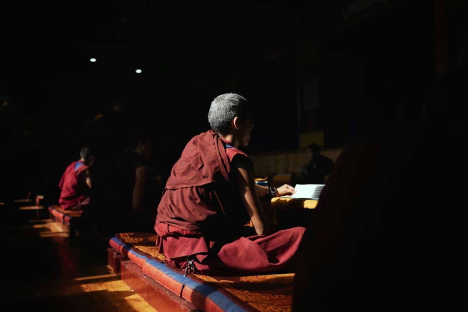 Los monjes no “desconectan” el cerebro cuando meditan. En realidad, activan dinámicas neuronales más ricas que en reposo