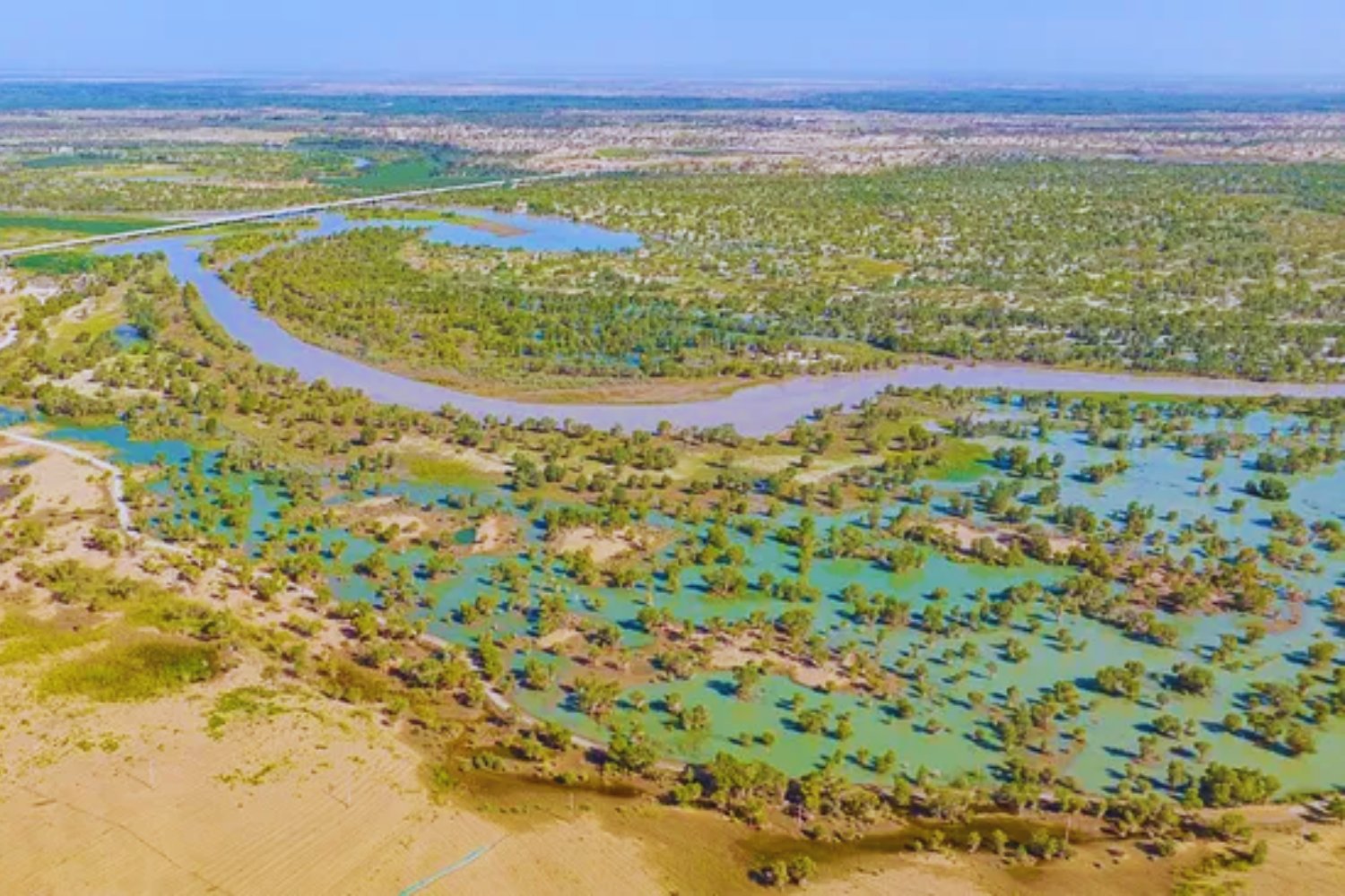 China convirtió el borde de un “vacío biológico” en un cinturón verde. El desierto del Taklamakan empieza a absorber más CO₂ del que emite