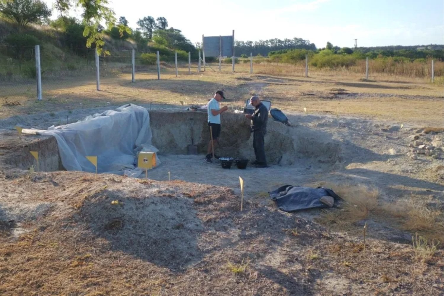 Un gigante olvidado vuelve a emerger del barro pampeano. El hallazgo que reabre la historia de los grandes mamíferos de Sudamérica
