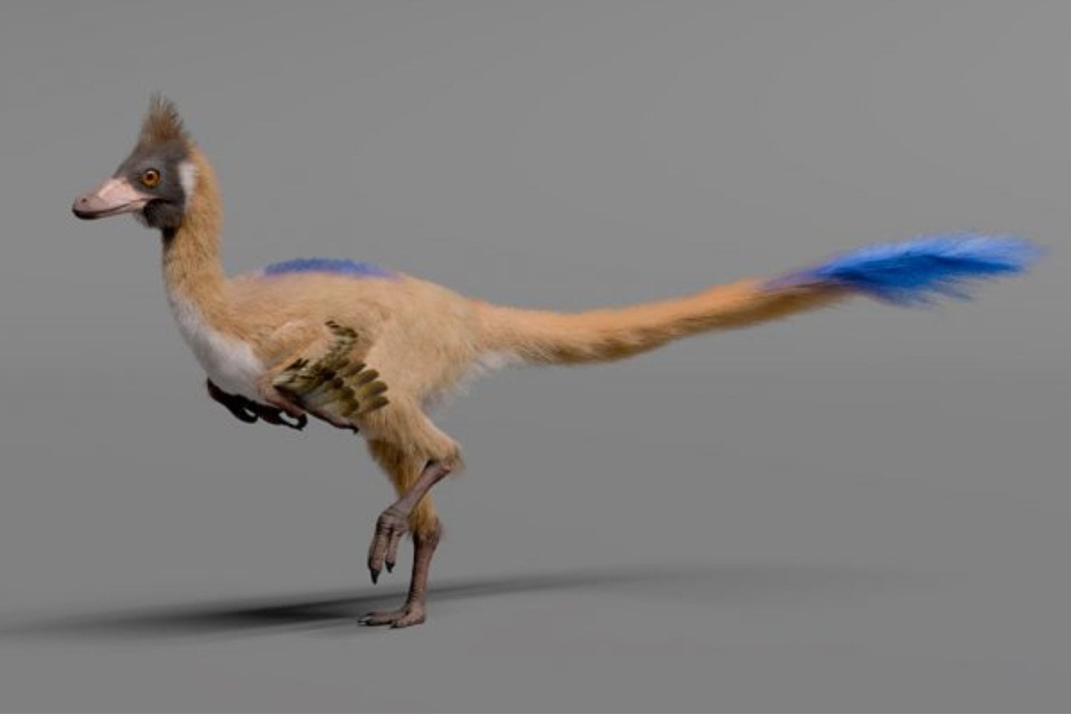 Un fósil diminuto encontrado en la Patagonia obliga a repensar cómo evolucionaron los dinosaurios carnívoros más extraños del planeta. No eran “miniaturas” por su dieta, sino desde el origen