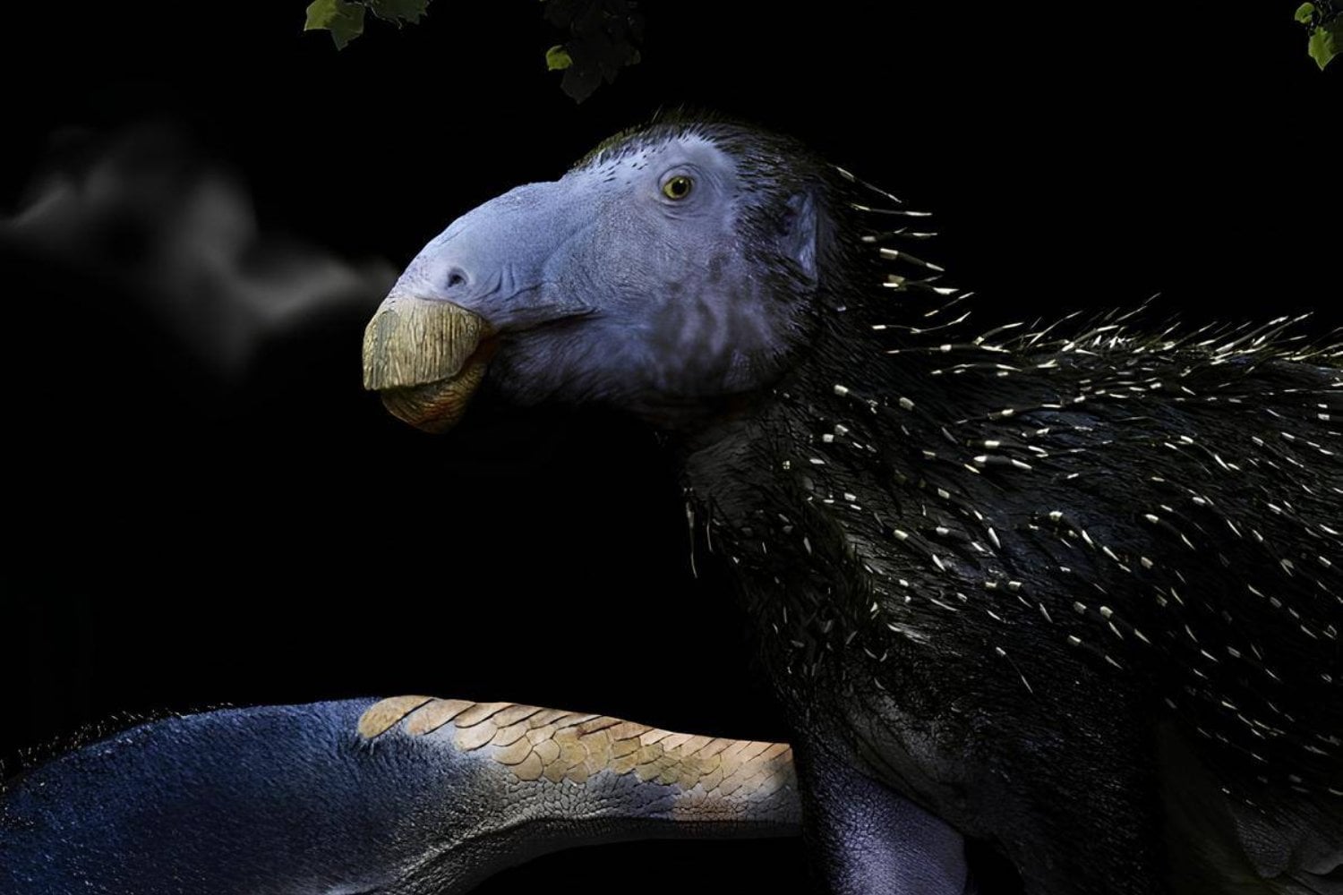 Descubrieron un dinosaurio herbívoro con una “armadura” de espinas inédita. Su piel fosilizada revela una estrategia defensiva que no conocíamos