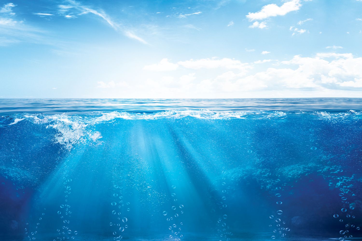 Diseño Sin Título (25)