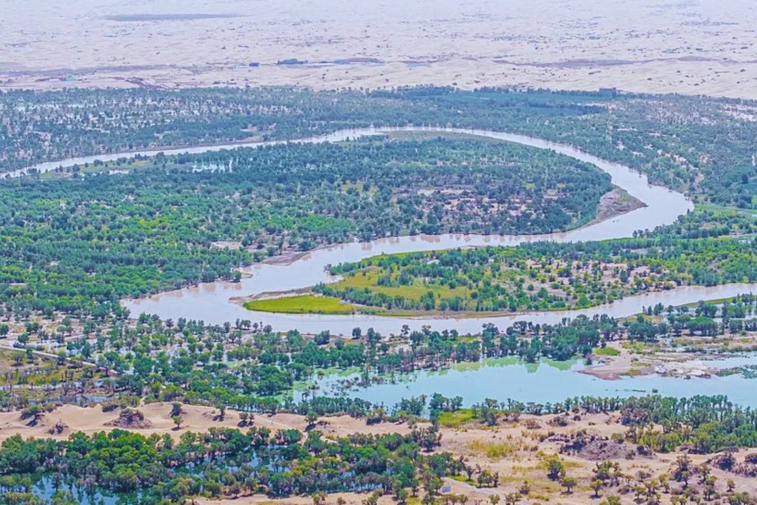 China convirtió el borde de un “vacío biológico” en un cinturón verde. El desierto del Taklamakan empieza a absorber más CO₂ del que emite