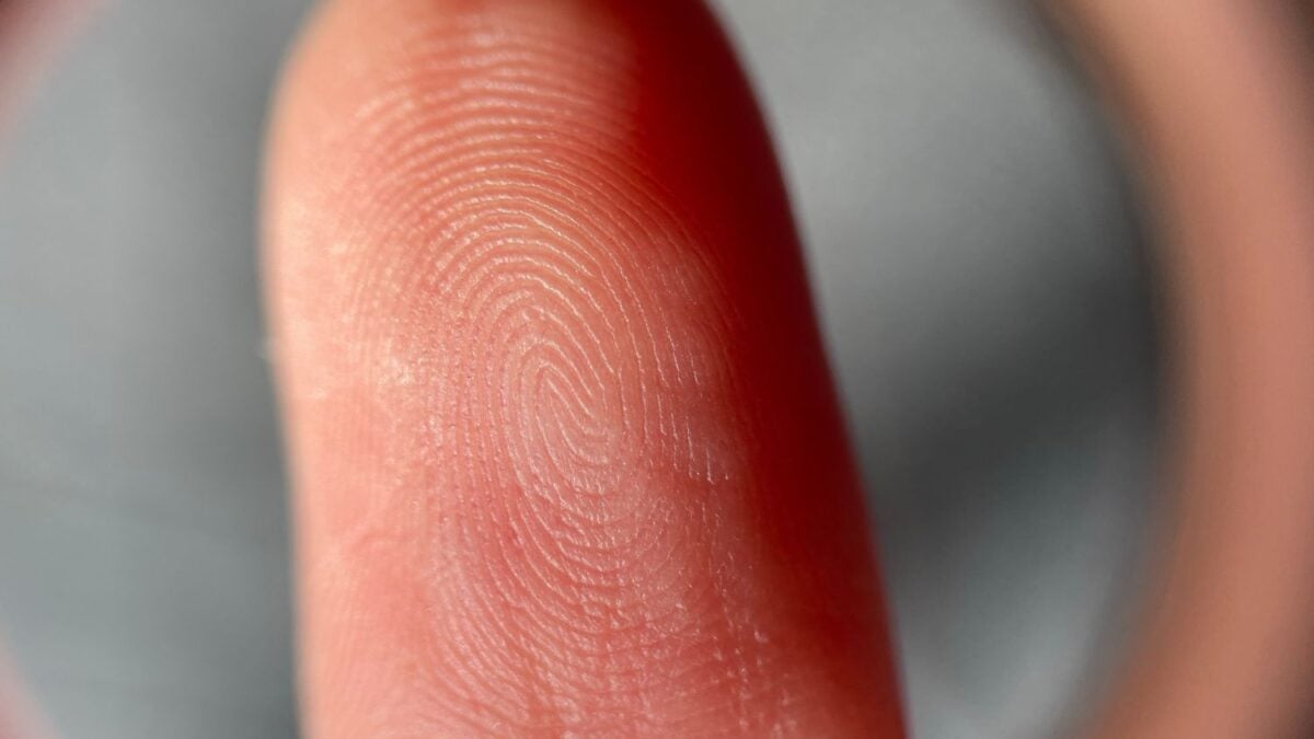 El hallazgo que redefine el tacto y pone en duda todo lo que creíamos sobre nuestros sentidos