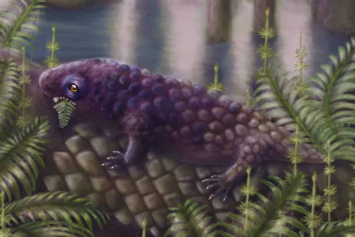 Un animal del tamaño de un balón de fútbol cambió la historia de la vida en tierra firme. El fósil que adelanta el origen de los herbívoros terrestres