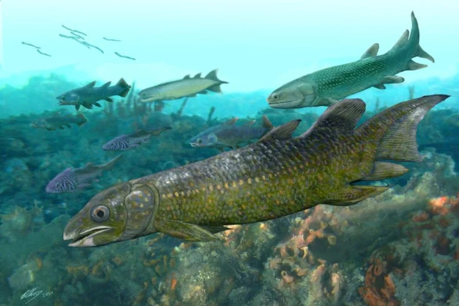Un pez de hace más de 400 millones de años obliga a reescribir cómo dimos el primer paso fuera del agua. Los fósiles que están cambiando la historia de la vida en la Tierra