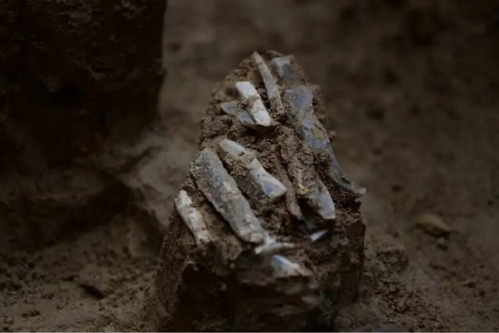 Un cazador del Paleolítico pudo perder su “bolsa de herramientas” hace 30.000 años. Por qué un hallazgo en la actual República Checa está cambiando cómo entendemos la vida móvil prehistórica