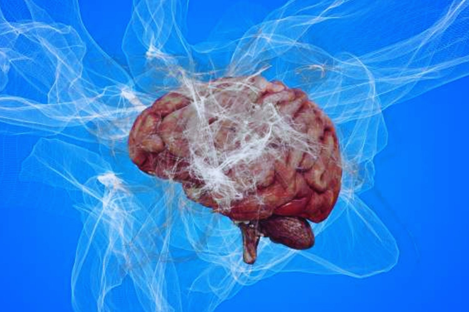 El entorno en el que vivimos reconfigura el cerebro a nivel molecular. Por qué la plasticidad cerebral no responde igual en todas las neuronas