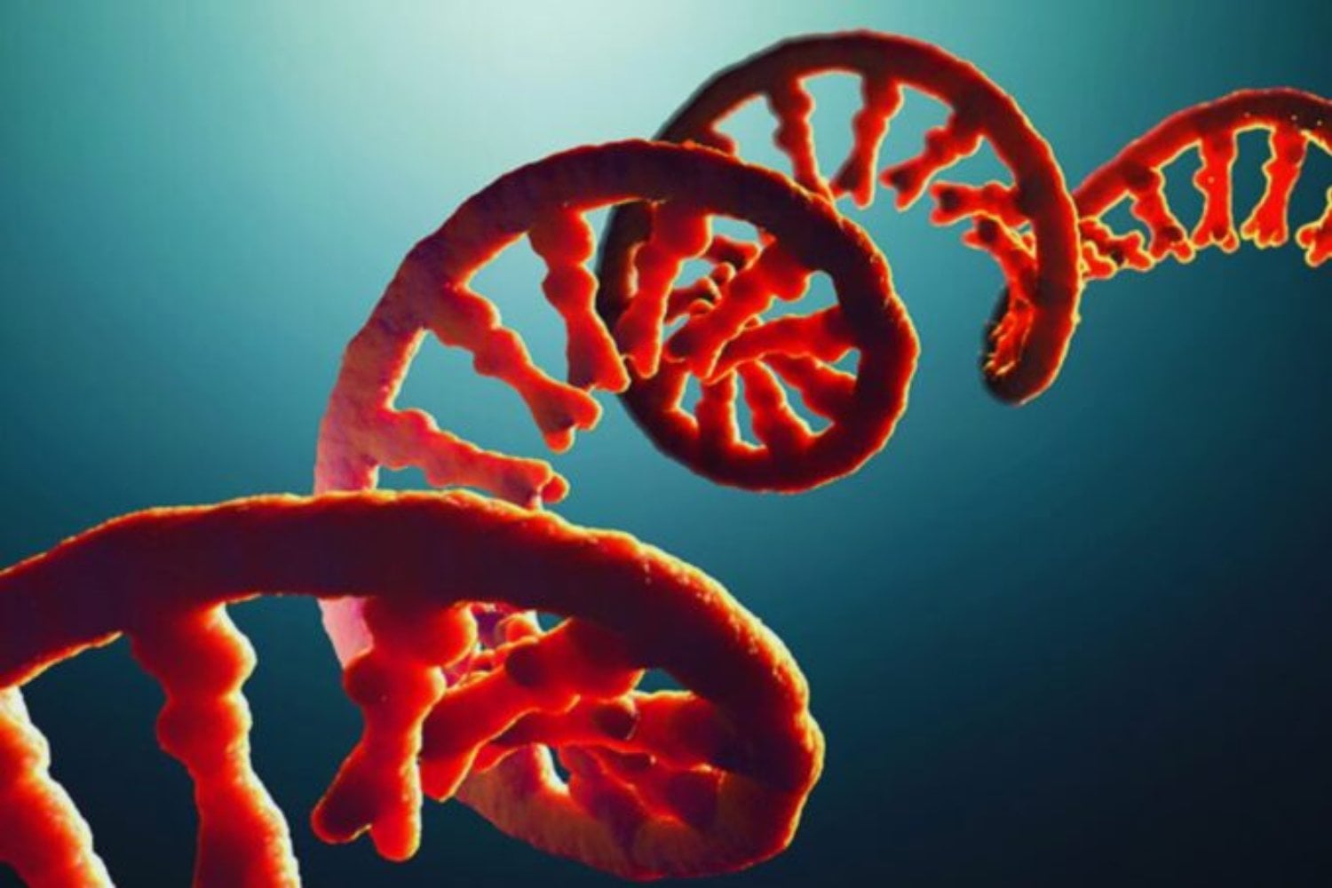 Crean en laboratorio una molécula de ARN capaz de copiarse a sí misma. El hallazgo acerca a la ciencia al instante en que comenzó la evolución en la Tierra primitiva