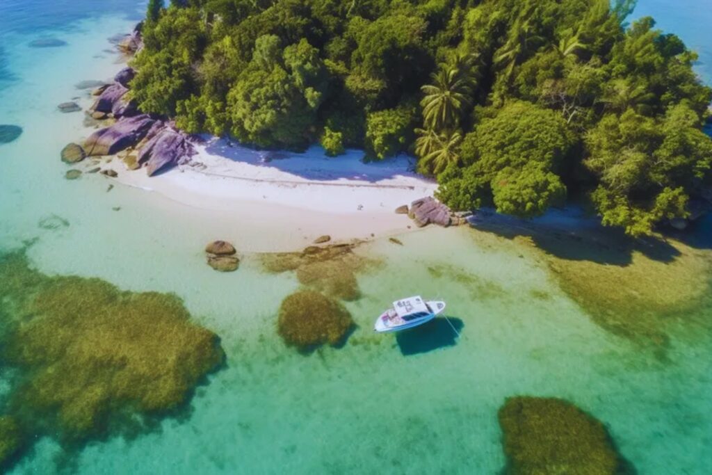 Compró una isla desierta en los años 60 para no construir un resort. La convirtió en un refugio natural que hoy es parque nacional