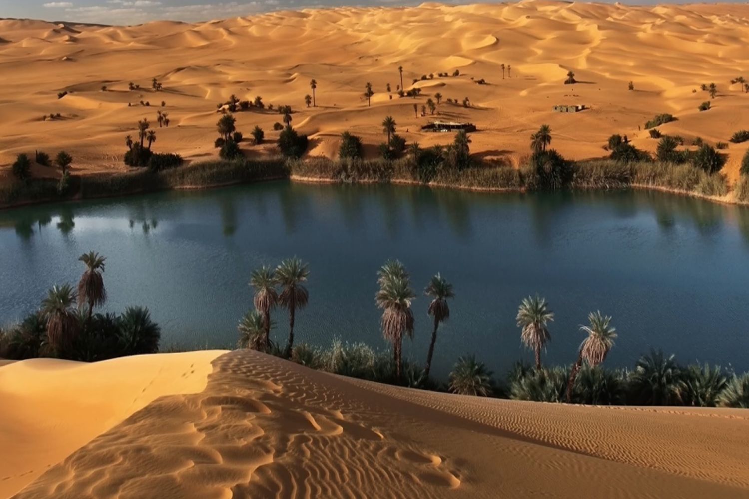 Diseño Sin Título (3)