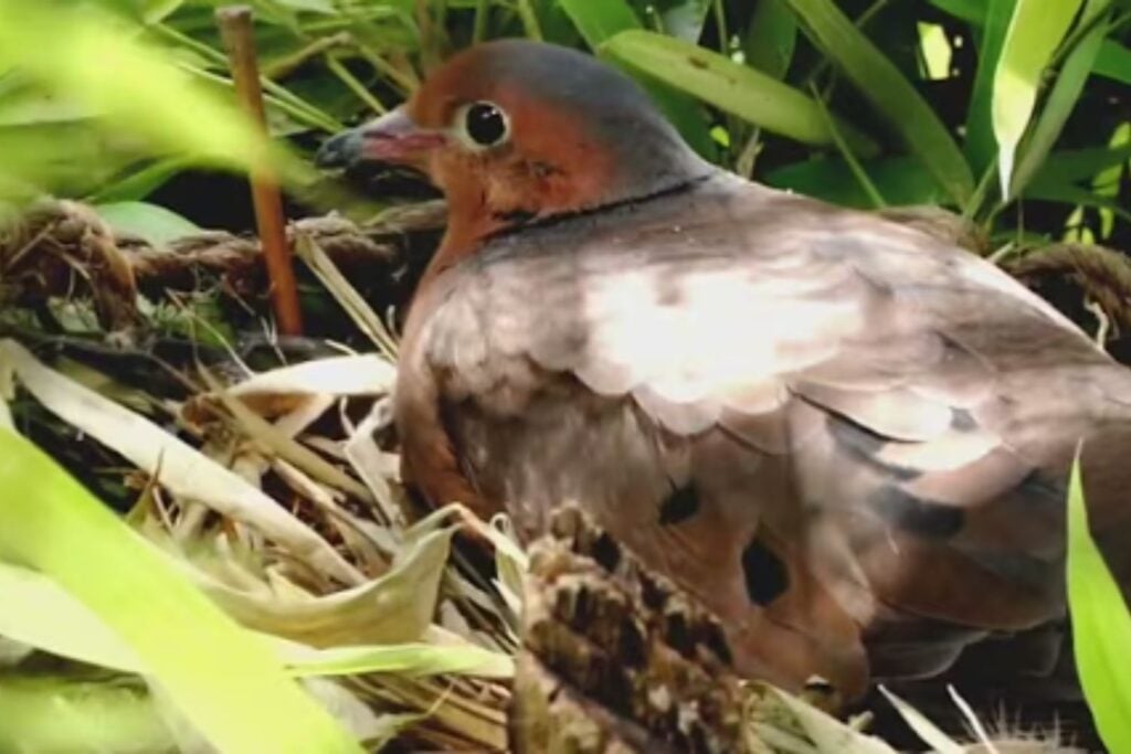 Diseño Sin Título (31)