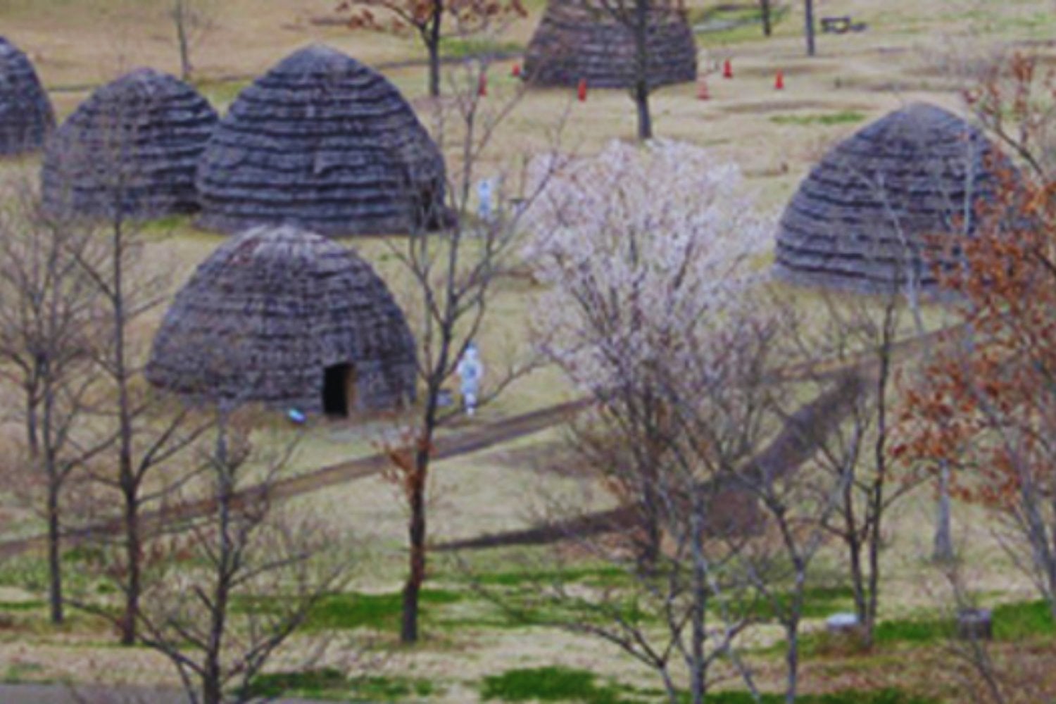 Japón pudo poblarse en un solo viaje humano hace 16.000 años. El estudio genético que pone en duda la teoría de múltiples oleadas migratorias