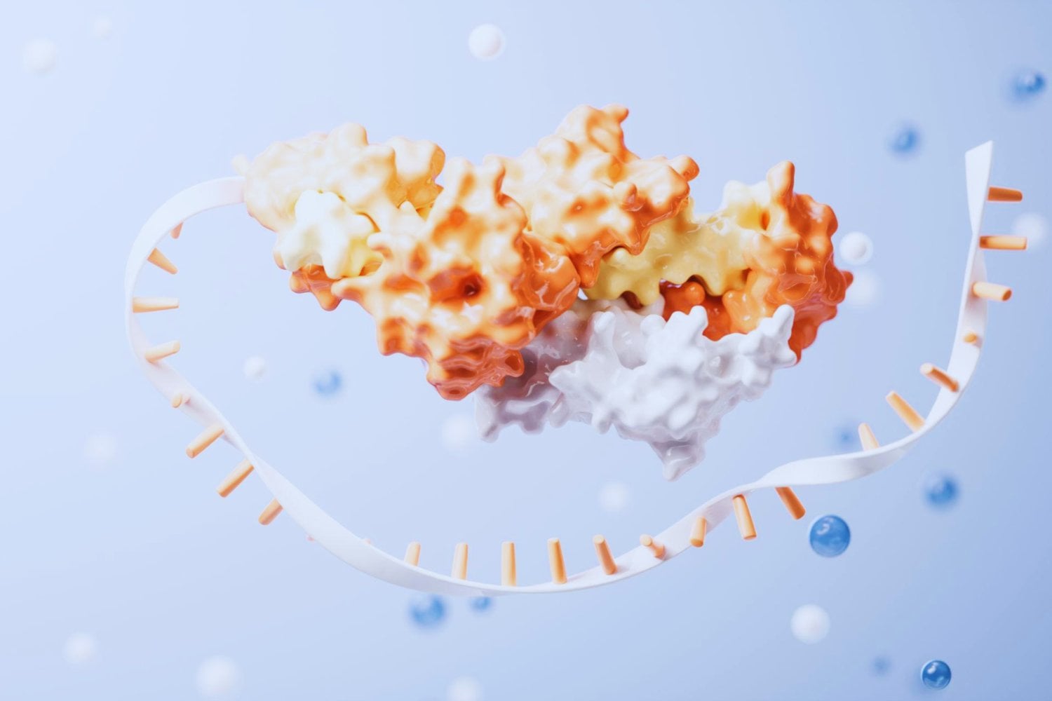 Crean en laboratorio una molécula de ARN capaz de copiarse a sí misma. El hallazgo acerca a la ciencia al instante en que comenzó la evolución en la Tierra primitiva
